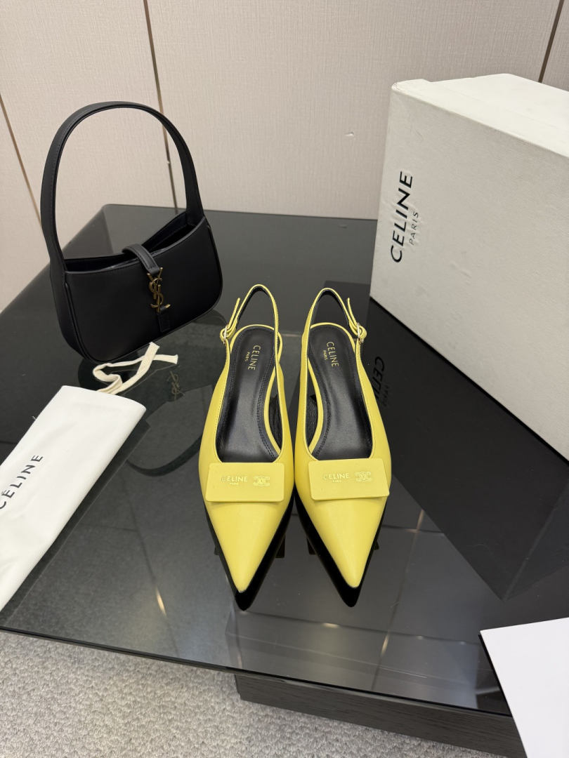 Celine Slides